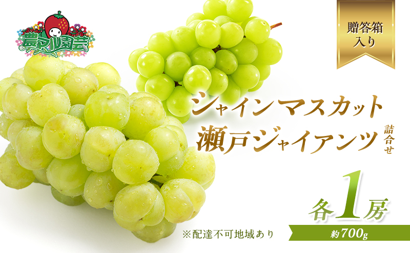 ぶどう 2026年 先行予約 シャイン マスカット 1房 瀬戸ジャイアンツ 1房 各約700g 詰合せ 贈答箱 ブドウ 葡萄 フルーツ 果物 岡山 赤磐市産 農マル園芸 あかいわ農園 種なし 皮ごと 甘い 