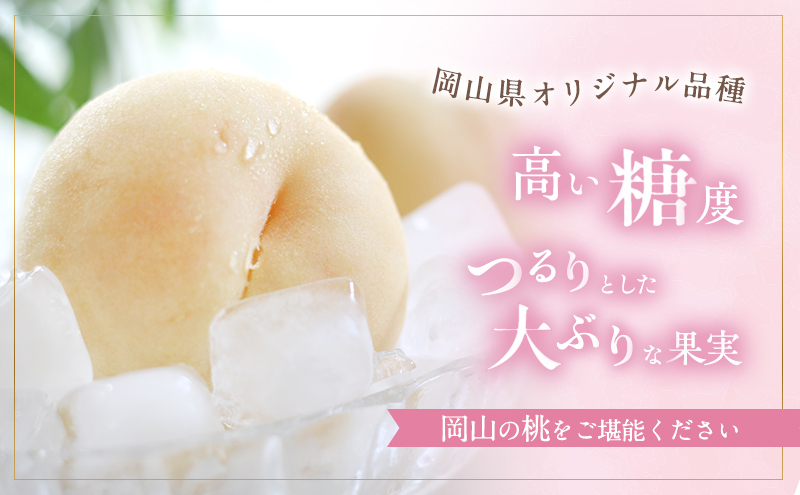 桃 2026年 先行予約 おかやま 夢 白桃 約1.8kg 5～7玉 進物用 もも モモ フルーツ 果物 岡山 赤磐市産 農マル園芸 あかいわ農園 家庭用 
