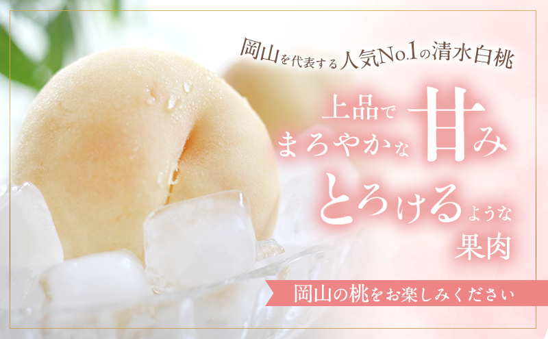 桃 2026年 先行予約 清水 白桃 約1.8kg 5～7玉 進物用 もも モモ フルーツ 果物 岡山 赤磐市産 農マル園芸 あかいわ農園 家庭用 