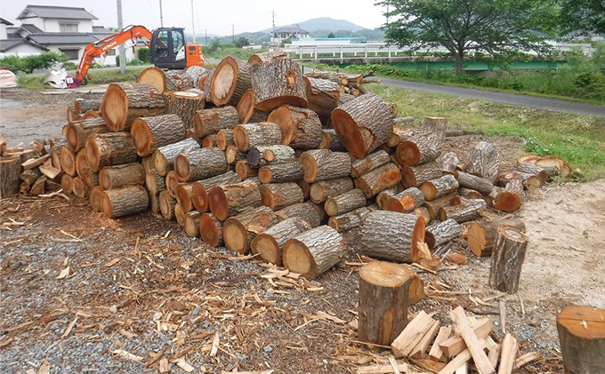 薪 キャンプ の 焚火 、 ストーブ ・ 暖炉 用に最適な 乾燥薪 18～20kg 日用品 ナラ クヌギ カシ 雑貨 焚火、ストーブ 暖炉用 