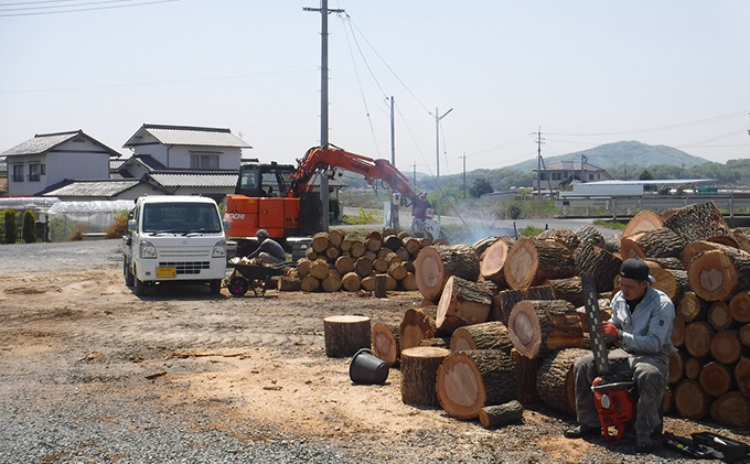 薪 キャンプ の 焚火 、 ストーブ ・ 暖炉 用に最適な 乾燥薪 18～20kg 日用品 ナラ クヌギ カシ 雑貨 焚火、ストーブ 暖炉用 