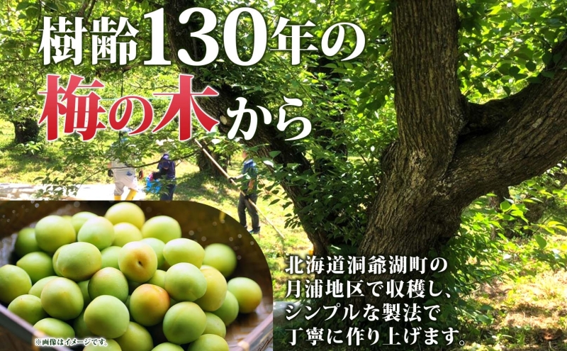 北海道・樹齢130年の梅漬け「しあわせの梅」1kg（200g×5個） 梅干し 漬物 うめ 