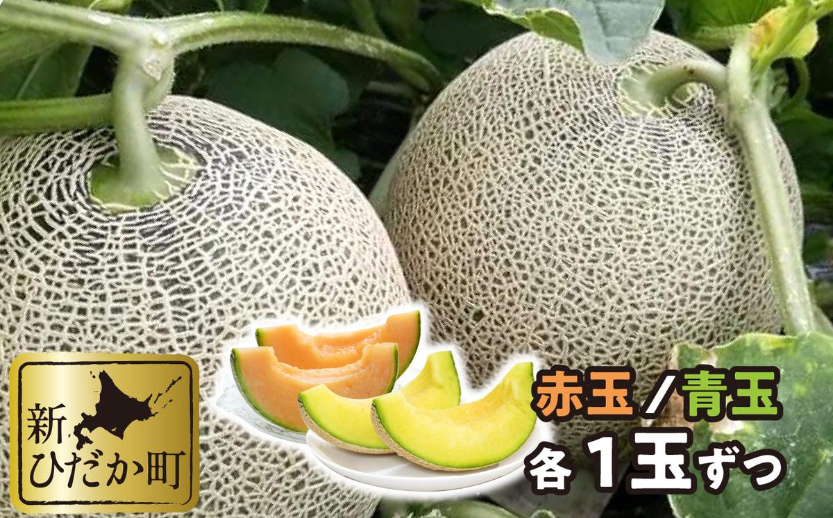 ＜ 2026年7月中旬より発送 ＞ 北海道産 メロン 赤肉 青肉 各1玉 食べ比べ セット ＜ 予約受付 ＞