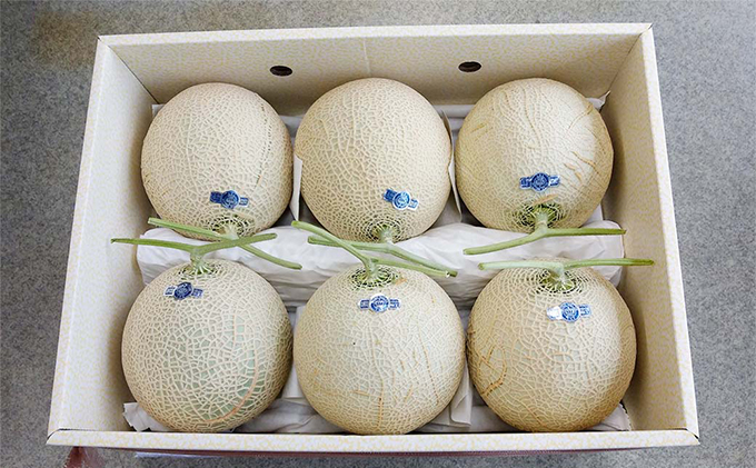 クラウンメロン 訳あり 6玉 メロン 人気 厳選 ギフト 贈り物 デザート グルメ フルーツ 果物 袋井市 果物類 メロン青肉 高級メロンブランド ６玉