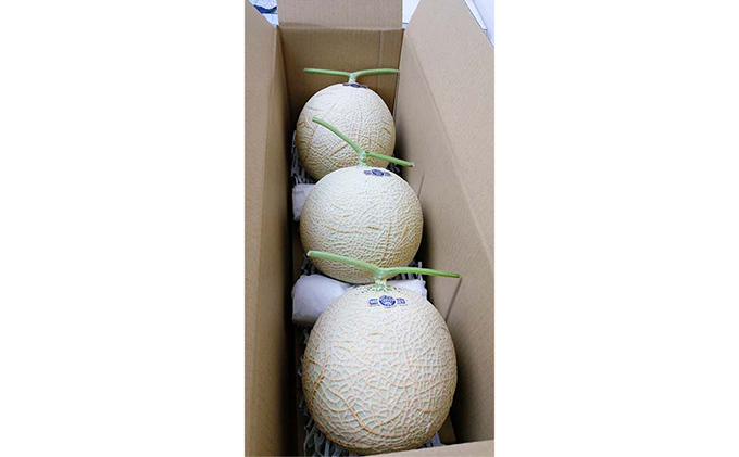 クラウンメロン 訳あり 3玉 メロン 人気 厳選 ギフト 贈り物 デザート グルメ フルーツ 果物 袋井市 果物類 メロン青肉 高級メロンブランド ３玉