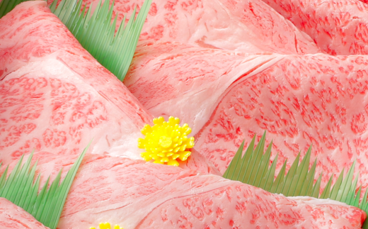 【12月発送分】極上近江牛すき焼き・しゃぶしゃぶ用　ロース【800ｇ】【CB02W-12m】