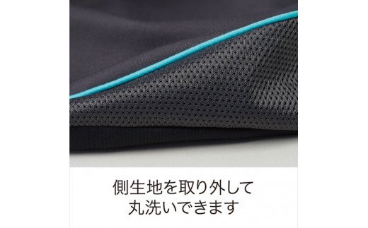エアーポータブル　モバイルピロー(携帯可能枕)【P255W】