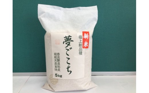 [6年産]近江米夢ごこち[5kg×1袋][T034U1]