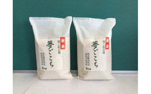 【滋賀県近江八幡市】【新米】【7年産】近江米夢ごこち【5kg×2袋】【T035W1】