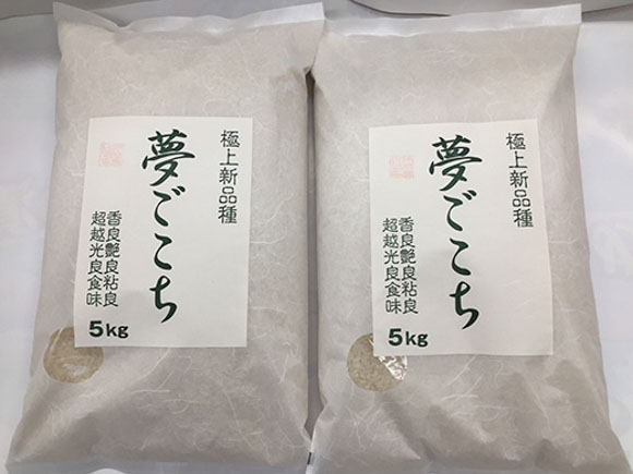 【7年産】近江米夢ごこち【5kg×2袋】【T035W2】