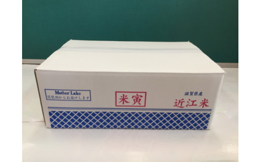 【7年産】近江米夢ごこち【5kg×2袋】【T035W2】