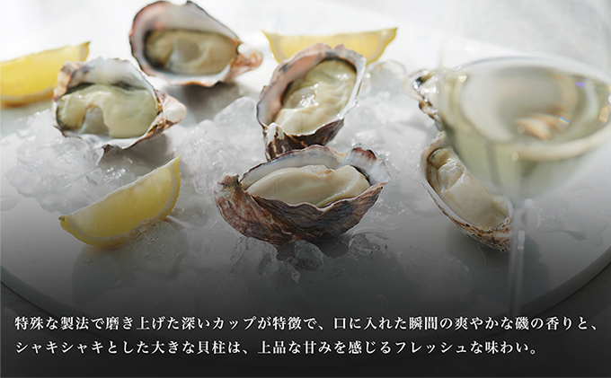 兵庫県赤穂市のふるさと納税  【夏も美味しい】牡蠣 坂越かき 赤穂クリスタルブラン40個（牡蠣ナイフ・軍手付き）[ 生牡蠣 かき カキ 殻付 生食 ] 魚貝類