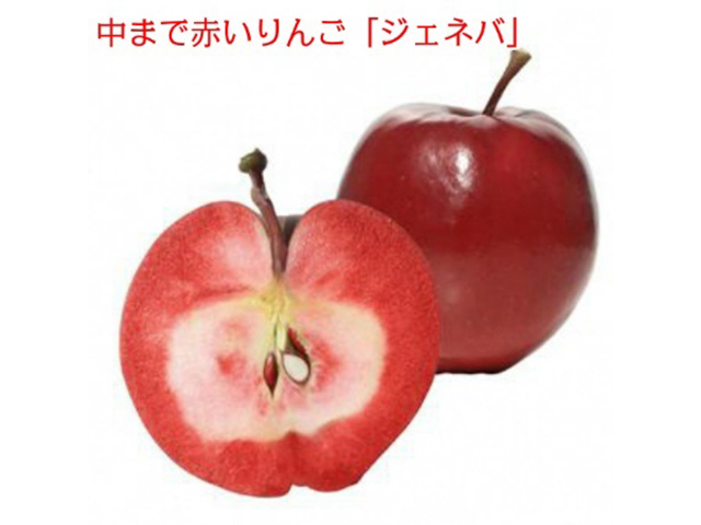 風丸農場　赤いりんごのジュース　無添加 青森県産　180ml×12本セット 飲料類 果汁飲料 