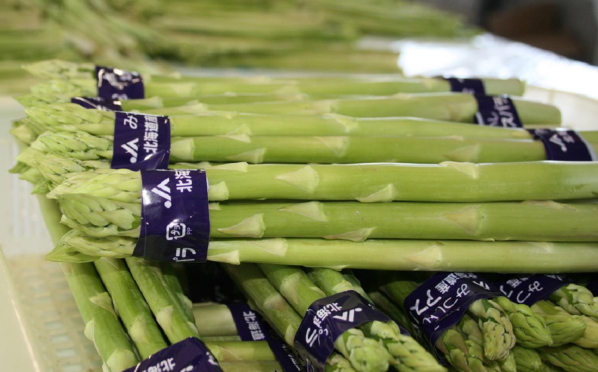 ＜ 2026年4月より発送 ＞  北海道産 グリーンアスパラ M / L 混合 1.2kg ＜ 予約受付 ＞