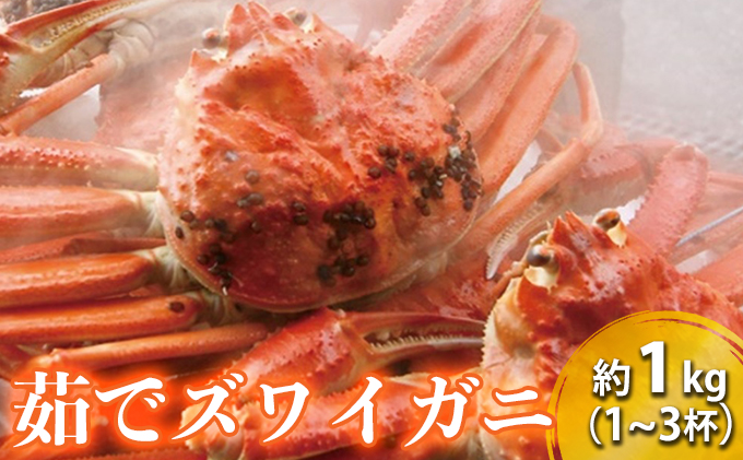 【福井県若狭町】茹で ズワイガニ 約1kg (1〜3杯) セット 詰め合わせ 脚折れ含む カニ 蟹 かに 茹でカニ ずわい蟹 ずわいがに カニセット 魚介 魚介類 海鮮 海鮮セット 福井 福井県 若狭町