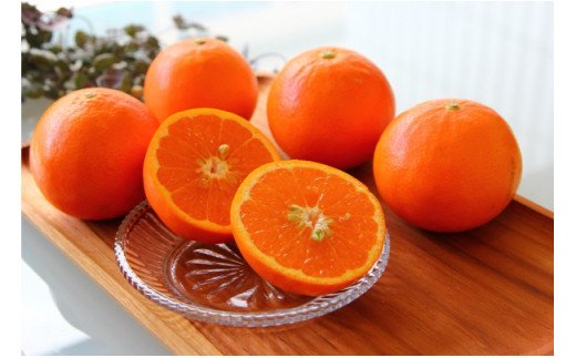 ZS6127n_主井農園 高級 セミノール 5kg