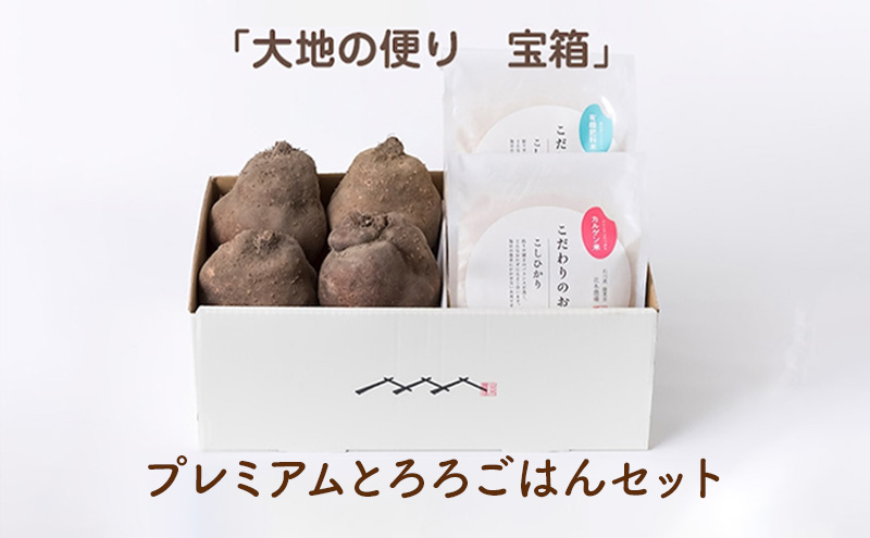 【大地の便り 宝箱】令和7年度産 プレミアムとろろごはんセット 