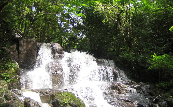 【能登半島地震復興支援】能美市地域限定旅行クーポン5万円分 宿泊券 チケット 