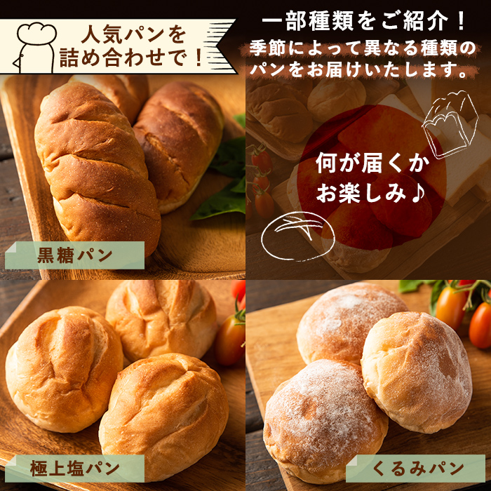 鹿児島県霧島市のふるさと納税 A5-015 《セゾン限定》食パン・人気パン詰め合わせ(全2種)【PANYA.くらぶ】