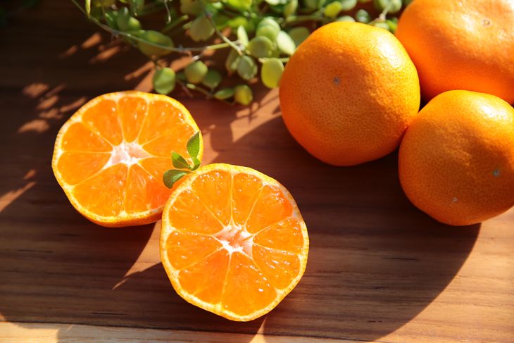 ya̎RLcS󒬁zZS6118n__  q݂ 5kg (G S`LTCY ܂)