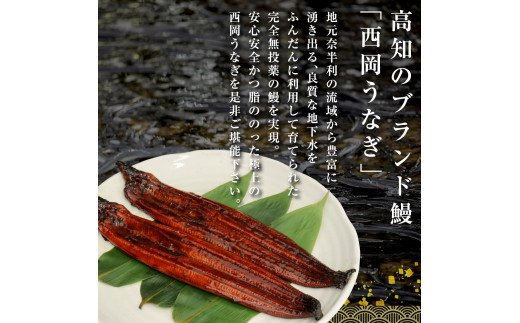 みー高知県産うなぎ炭焼き８本 5pサイズ 自家製タレつき ◇1尾◇極上国産炭焼きうなぎ尾頭付蒲焼 特大サイズ（約200g×1