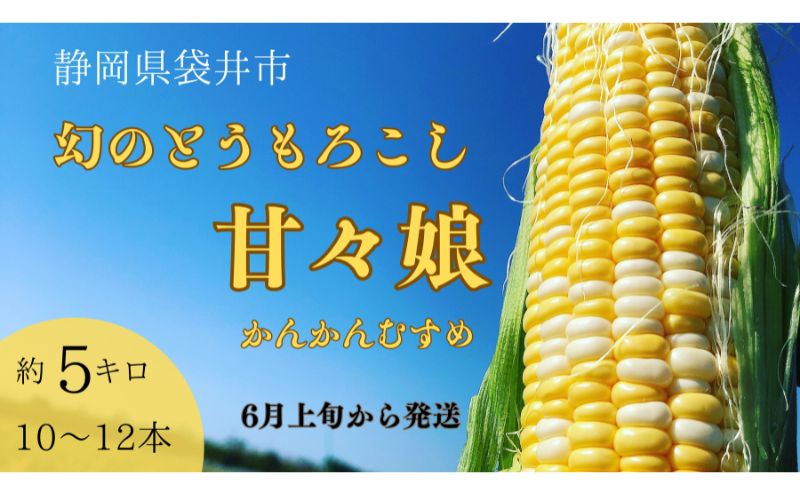【静岡県袋井市】【先行予約】数量限定!リピーター続出!!とうもろこし★甘々娘★  おすすめ コーン トウモロコシ かんかんむすめ 採れたて 新鮮 野菜 健康 ヘルシー 人気 厳選 袋井市 フルーツコーン 静岡県