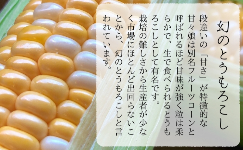 【先行予約】数量限定！リピーター続出！！とうもろこし★甘々娘★ おすすめ コーン トウモロコシ かんかんむすめ 採れたて 新鮮 野菜 健康 ヘルシー 人気 厳選 袋井市 フルーツコーン 静岡県