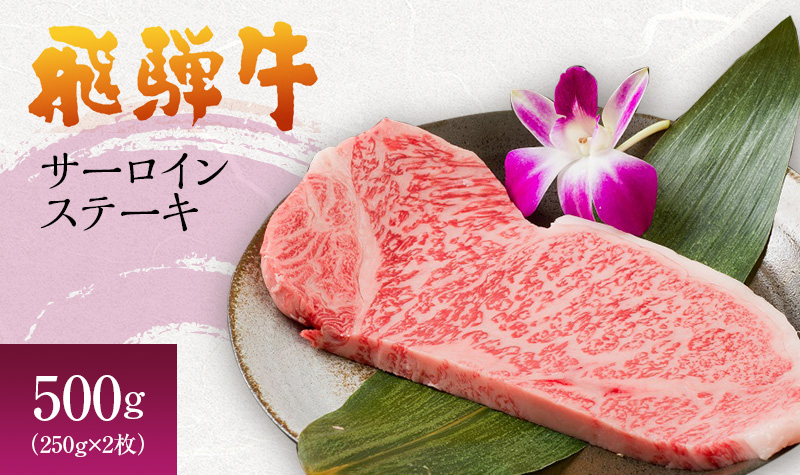 【岐阜県海津市】岐阜県海津市産 飛騨牛サーロインステーキ(250g×2枚) 牛肉 500g