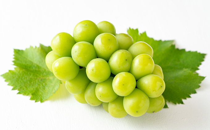 ぶどう 2026年 先行予約 シャイン マスカット 晴王 2房 （1房480g以上） 化粧箱入り マスカット ブドウ 葡萄  岡山県産 国産 フルーツ 果物 ギフト はれおう 