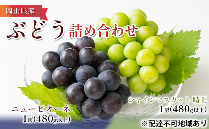 �y���R�����˓��s�z�Ԃǂ� 2026�N ��s�\�� �l�ߍ��킹 �j���[ �s�I�[�l 1�[�i480g�ȏ�j�E �V���C�� �}�X�J�b�g ���� 1�[�i480g�ȏ�j���ϔ����� �u�h�E ����  ���R���Y ���Y �t���[�c �ʕ� �M�t�g