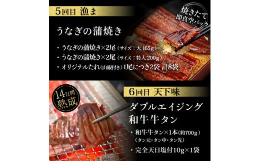 t113kgp-tka　漁ま＆天下味“土佐人気料理店”芸西村本気の6か月定期便(ご家族満喫)/1回目:カツオたたき 銀象、2回目:赤白ホルモン、3回目:塩昆布熟成赤身＆中トロ、4回目:カツオたたき 土佐にんにくぬた、5回目:うなぎの蒲焼〈特大+大〉、6回目:ダブルエイジング和牛牛タン1本