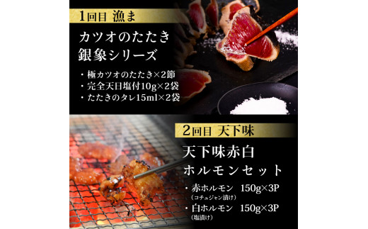 t112kgp-tka　漁ま＆天下味“土佐人気料理店”芸西村本気の5か月定期便（お二人様満喫用）／1回目：カツオのたたき 銀象シリーズ、2回目：赤白ホルモン、3回目：塩昆布熟成赤身＆中トロ、4回目：カツオのたたき 土佐にんにくぬたシリーズ、5回目：うなぎの蒲焼〈大〉