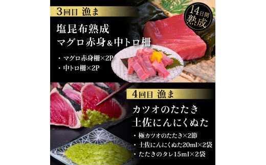 t112kgp-tka　漁ま＆天下味“土佐人気料理店”芸西村本気の5か月定期便（お二人様満喫用）／1回目：カツオのたたき 銀象シリーズ、2回目：赤白ホルモン、3回目：塩昆布熟成赤身＆中トロ、4回目：カツオのたたき 土佐にんにくぬたシリーズ、5回目：うなぎの蒲焼〈大〉