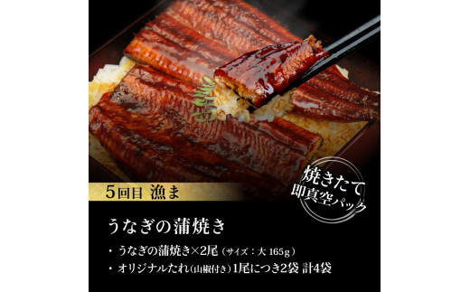 t112kgp-tka　漁ま＆天下味“土佐人気料理店”芸西村本気の5か月定期便（お二人様満喫用）／1回目：カツオのたたき 銀象シリーズ、2回目：赤白ホルモン、3回目：塩昆布熟成赤身＆中トロ、4回目：カツオのたたき 土佐にんにくぬたシリーズ、5回目：うなぎの蒲焼〈大〉