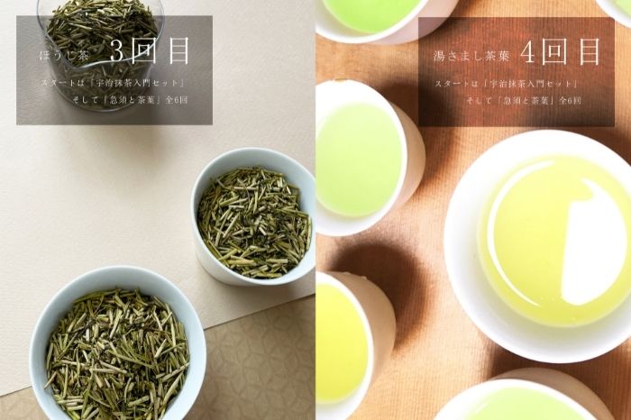 スタートは「宇治抹茶入門セット」そして「急須と茶葉」全6回