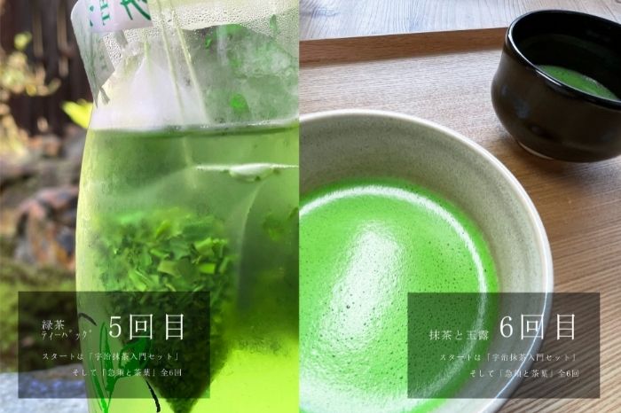 スタートは「宇治抹茶入門セット」そして「急須と茶葉」全6回