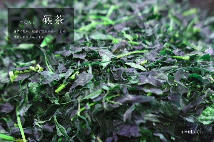 スタートは「宇治抹茶入門セット」そして「急須と茶葉」全6回〈定期便 宇治抹茶 抹茶 お茶 茶 薄茶 濃茶 茶道 初心者 石臼挽き 飲料 加工食品〉 飲料類 お抹茶 