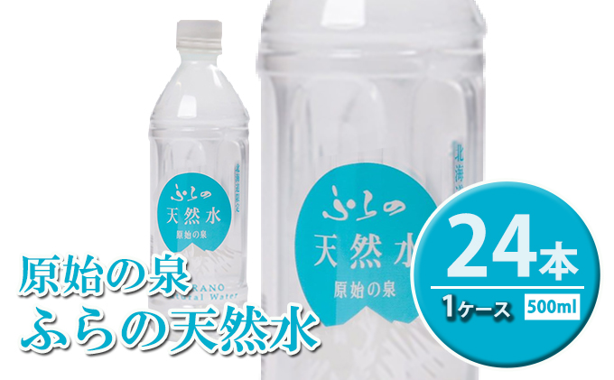 【北海道富良野市】ふらの天然水【原始の泉】500ml×24本入 (水 新鮮 便利 天然 ペットボトル 北海道 送料無料 道産 富良野市 ふらの)