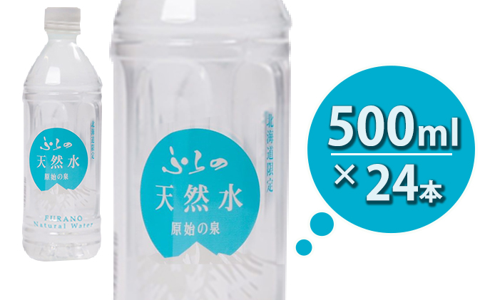 ≪3ヶ月定期便≫ふらの天然水【原始の泉】500ml×24本入  (水 新鮮 便利 天然 ペットボトル 北海道 送料無料 道産 富良野市 ふらの)