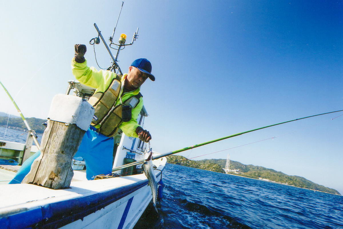鯖へしこ 京都 珍味 惣菜 酒 肴 魚介類 魚貝類 漬魚 加工食品 