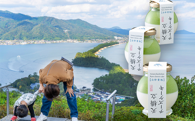 天橋立チーズケーキ 6個セット お菓子 チーズケーキ 洋菓子 スイーツ 乳製品 レアチーズ 天橋立 抹茶 磯野開化堂 チーズ 濃厚 取り寄せ 