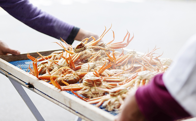 新物 セコガニ コッペがに ほぐし身（大サイズ）3個セット 甲羅盛り〈11月中旬～2026年3月末発送〉 蟹 カニ かに 松葉蟹 松葉ガニ ズワイガニ ボイル