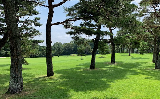 【平日限定】嵐山カントリークラブ ゴルフプレー券 3名様 ゴルフ場利用権 