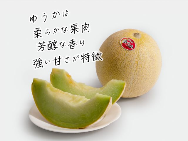 【先行予約2026年産】長谷川さんが作ったメロン2個（品種おまかせ） 7月～8月発送　青森県鰺ヶ沢町産 2玉 果物類 フルーツ メロン赤肉 