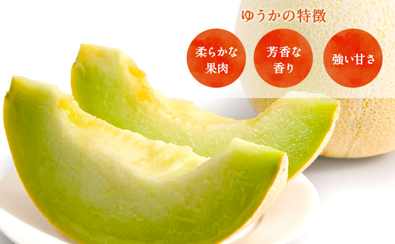 【先行予約2026年産】長谷川さんが作ったメロン3～4個（ゆうか・タカミ）　7月～8月発送　青森県鰺ヶ沢町産 果物類 メロン青肉 フルーツ 3～4玉 