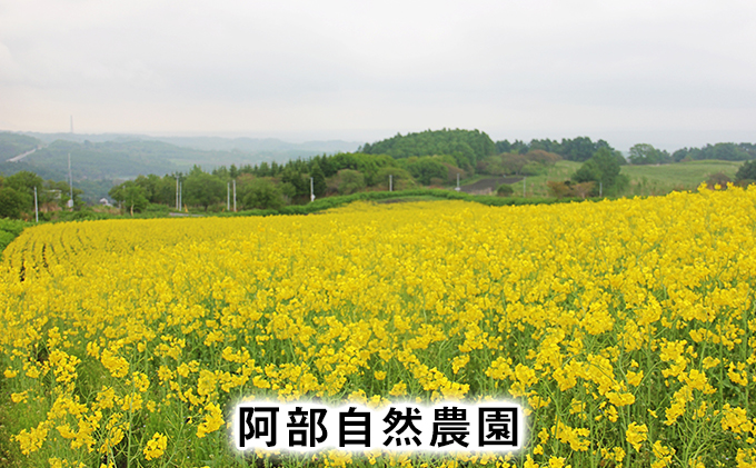 洞爺湖町産 なたね油 3種セット【自然濾過 手間と時間をかけた一番搾り】菜種油 圧搾 北海道 無添加 無精製 自然濾過 国産 搾りたて 食用油 植物油 最高級 