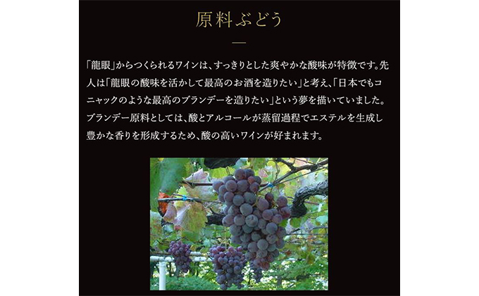 ソラリス ブランデー 龍眼 1989 700ml×1本 7月下旬から発送予定 マンズワイン ご当地 取り寄せ お酒 アルコール 長野県 小諸市　