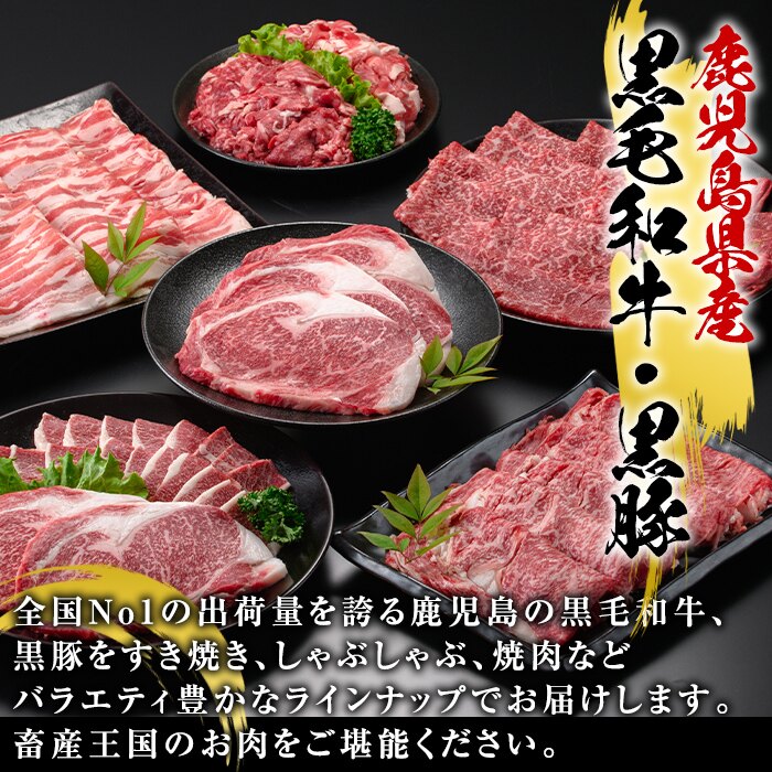 鹿児島県阿久根市のふるさと納税 ＜定期便・全6回(偶数月)＞鹿児島県産黒毛和牛・黒豚定期便(総量約5.2kg)国産 九州産 鹿児島産 牛肉 国産牛 豚肉 サーロイン ステーキ 切り落とし 切落し カルビ 焼肉 焼き肉 焼肉セット 黒豚 バラ肉 すき焼き しゃぶしゃぶ 頒布会【スターゼン】akn042-28