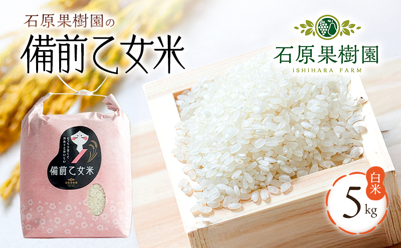 �y���R�����˓��s�z�� �ߘa7�N�Y �Ό��ʎ����̔��O������ ���� 5kg×1�� ��11����{�`���������\�� ���� ���� ���� ���C�X  ���_�ۍ͔| ���R�� ���ɂ��� ���ٓ�