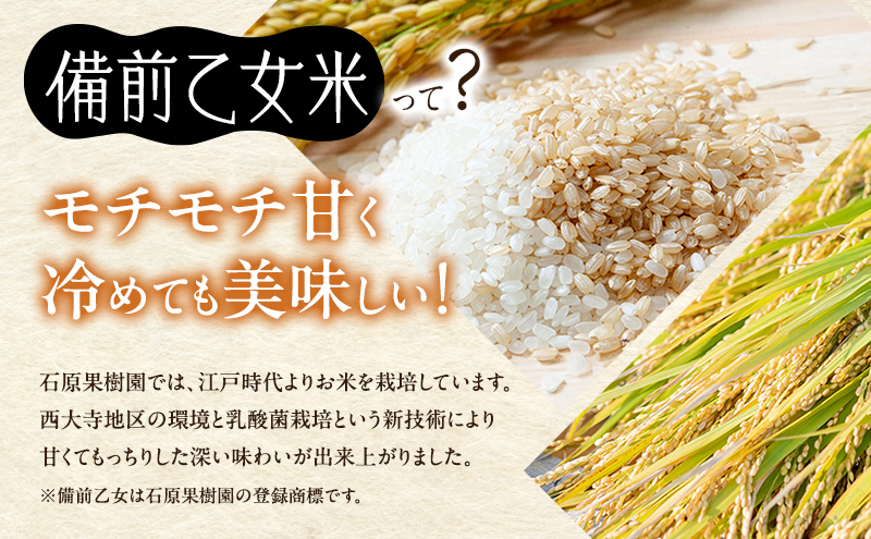 米 令和7年産 石原果樹園の備前乙女米 玄米 10kg×1袋 ※11月上旬～順次発送予定 ライス  お米 ライス  乳酸菌栽培 岡山県 おにぎり お弁当 